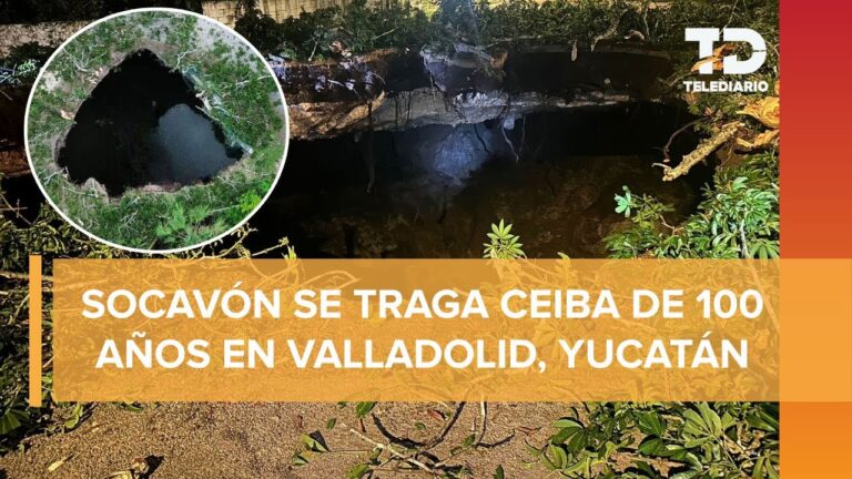 Colapso y consumo de vegetación en cenote de Xocén capture la atención pública