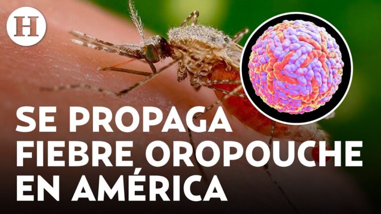 Conocimiento sobre los casos de virus Oropouche en América Latina y Europa