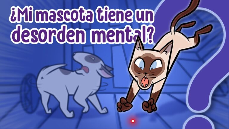 Estudio indica que tener un felino como compañero podría estar relacionado con trastornos mentales