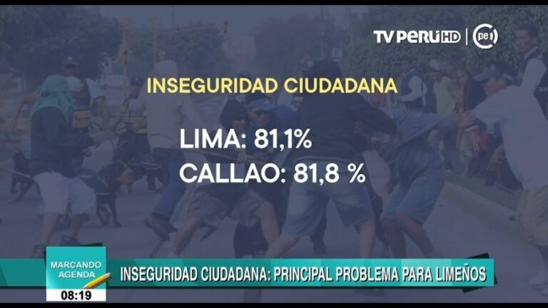 Inseguridad ciudadana: Adentrándonos en la problemática. Episodio 6