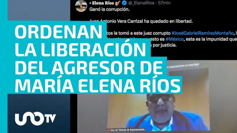 Investigación iniciada contra juez por liberar a agresor de María Elena Ríos