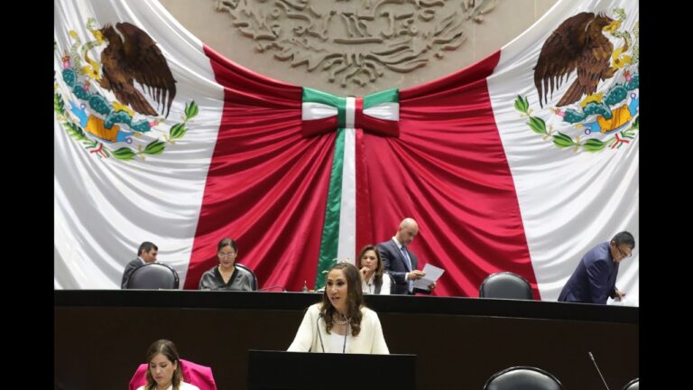 La coordinadora del PAN en la Cámara de Diputados: Descubre la identidad de Noemí Luna