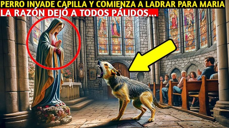 La historia del perro venerado que la Iglesia rechazó