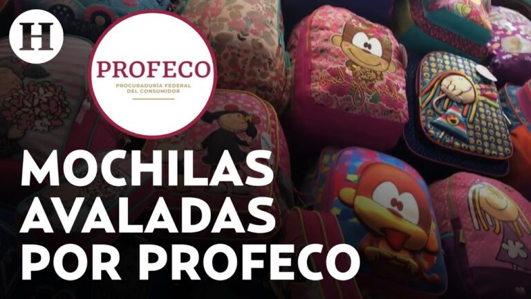 Las principales opciones de mochilas recomendadas por Profeco para la vuelta a clases