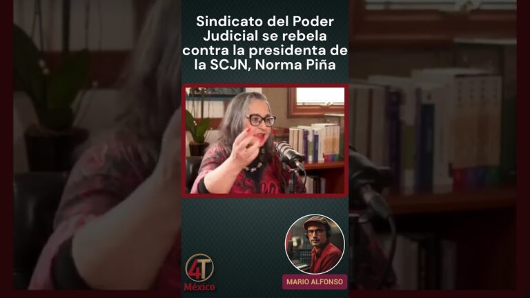 Opinión de norma piña sobre cambios en sistema judicial: “debemos ser imparciales, no vocales políticos”