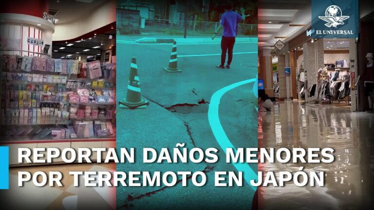 Posible gran terremoto en Japón provoca compras organizadas en supermercados (VIDEO)