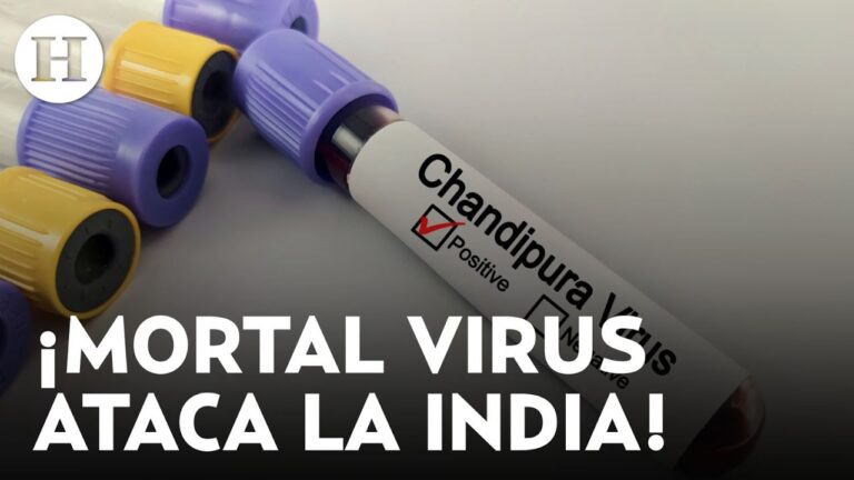 Signos del virus chandipura que causa preocupación y fallecimientos en india