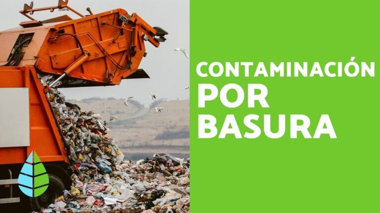 Gobierno elimina áreas contaminadas de desechos