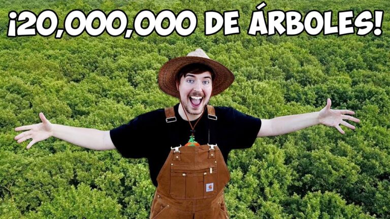 Propuesta de legislador verde: creación de bosque con 10 millones de árboles