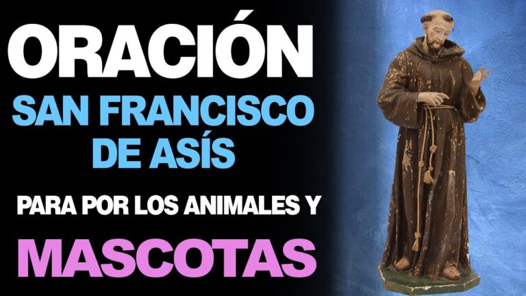 Rezo por los animales en la festividad de san françois de assís